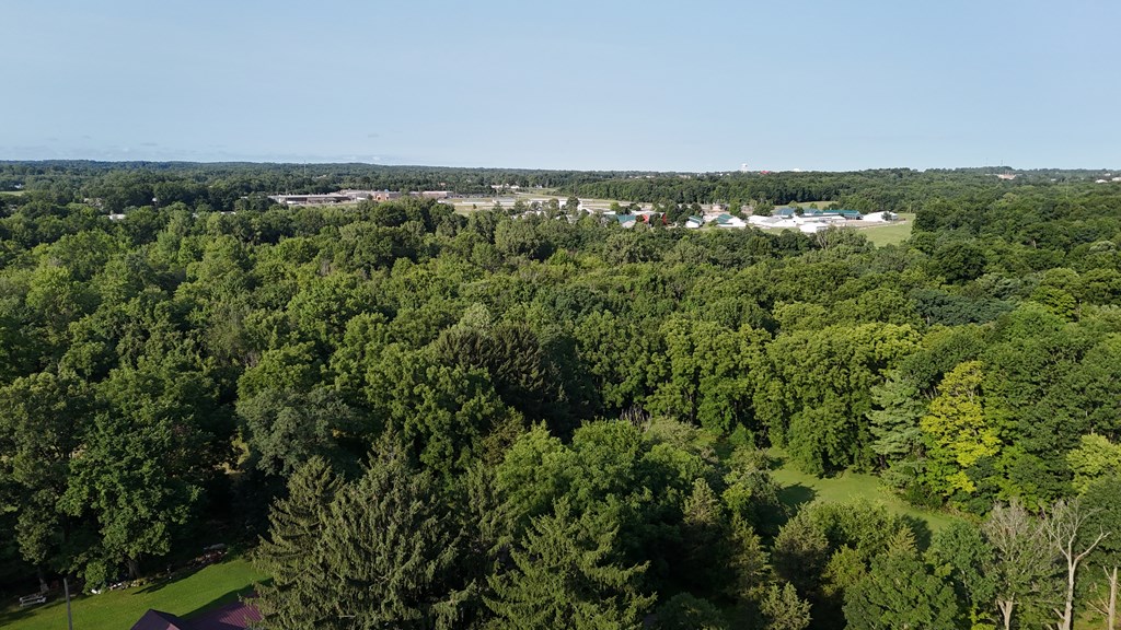 0 Lantz Road, Mansfield, Ohio 44906, ,Land,For Sale,Lantz Road,20100117