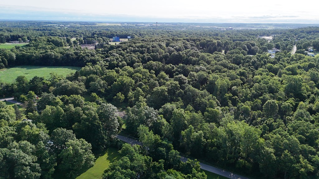 0 Lantz Road, Mansfield, Ohio 44906, ,Land,For Sale,Lantz Road,20100117