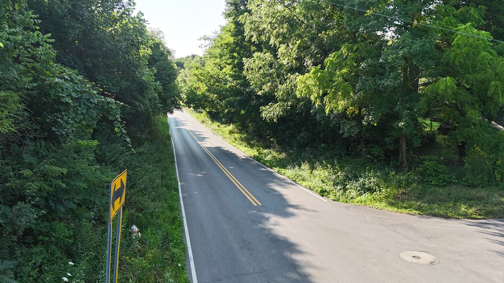0 Lantz Road, Mansfield, Ohio 44906, ,Land,For Sale,Lantz Road,20100117