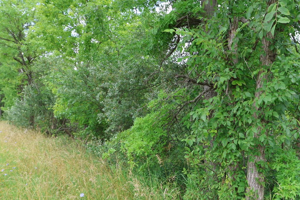 0 Lantz Road, Mansfield, Ohio 44906, ,Land,For Sale,Lantz Road,20100117