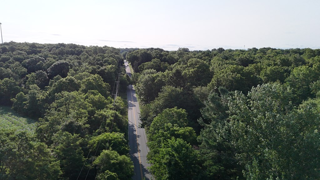 0 Lantz Road, Mansfield, Ohio 44906, ,Land,For Sale,Lantz Road,20100117