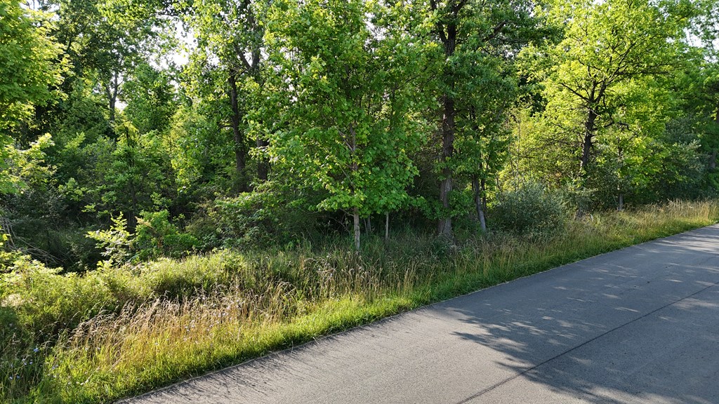 0 Lantz Road, Mansfield, Ohio 44906, ,Land,For Sale,Lantz Road,20100117