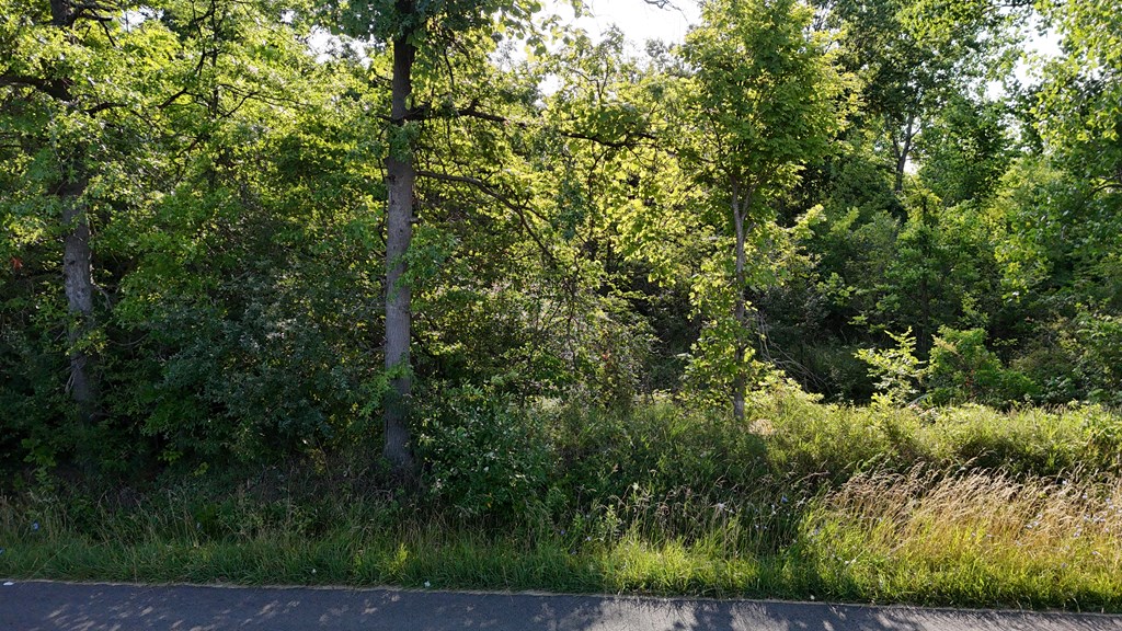 0 Lantz Road, Mansfield, Ohio 44906, ,Land,For Sale,Lantz Road,20100117