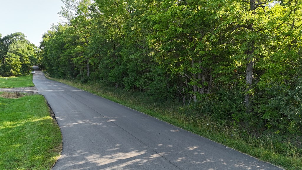 0 Lantz Road, Mansfield, Ohio 44906, ,Land,For Sale,Lantz Road,20100117