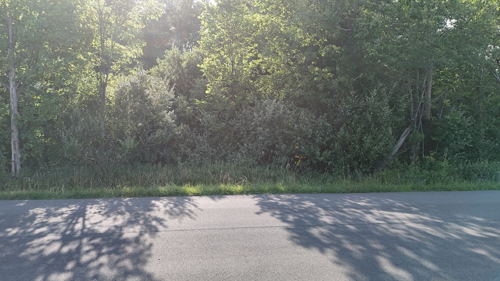 0 Lantz Road, Mansfield, Ohio 44906, ,Land,For Sale,Lantz Road,20100117