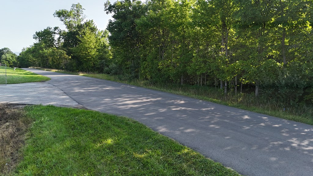 0 Lantz Road, Mansfield, Ohio 44906, ,Land,For Sale,Lantz Road,20100117