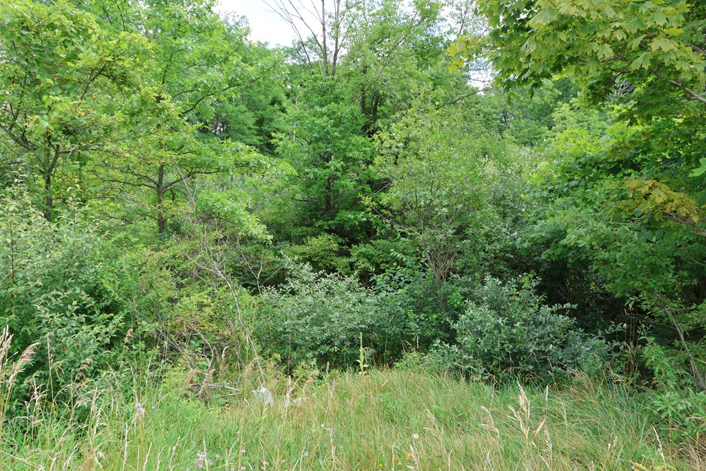 0 Lantz Road, Mansfield, Ohio 44906, ,Land,For Sale,Lantz Road,20100117