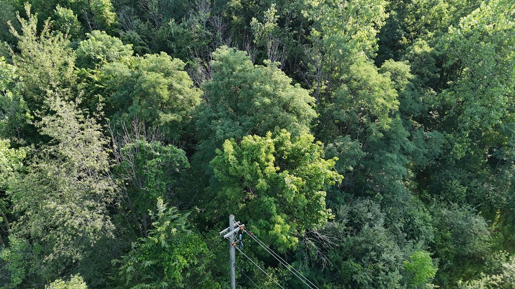 0 Lantz Road, Mansfield, Ohio 44906, ,Land,For Sale,Lantz Road,20100117