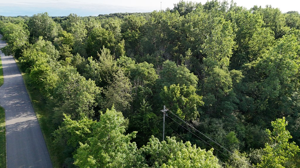 0 Lantz Road, Mansfield, Ohio 44906, ,Land,For Sale,Lantz Road,20100117