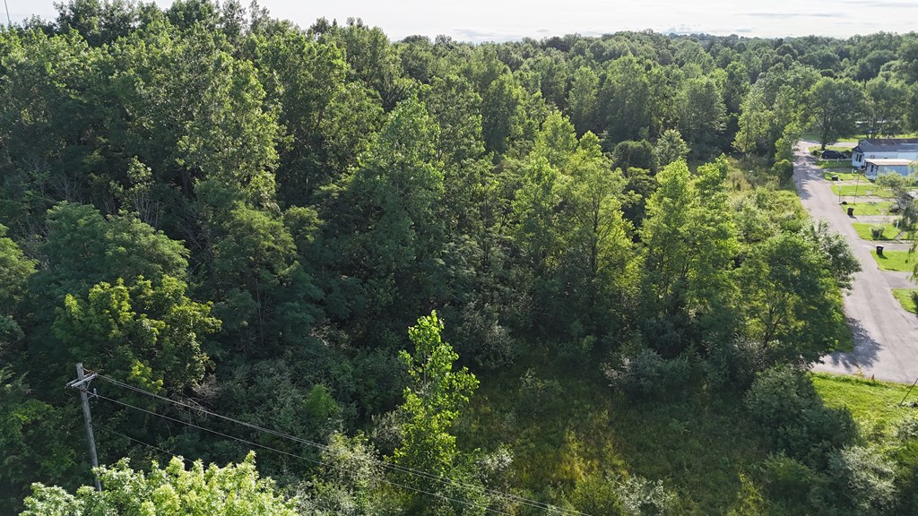 0 Lantz Road, Mansfield, Ohio 44906, ,Land,For Sale,Lantz Road,20100117