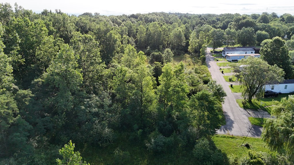 0 Lantz Road, Mansfield, Ohio 44906, ,Land,For Sale,Lantz Road,20100117