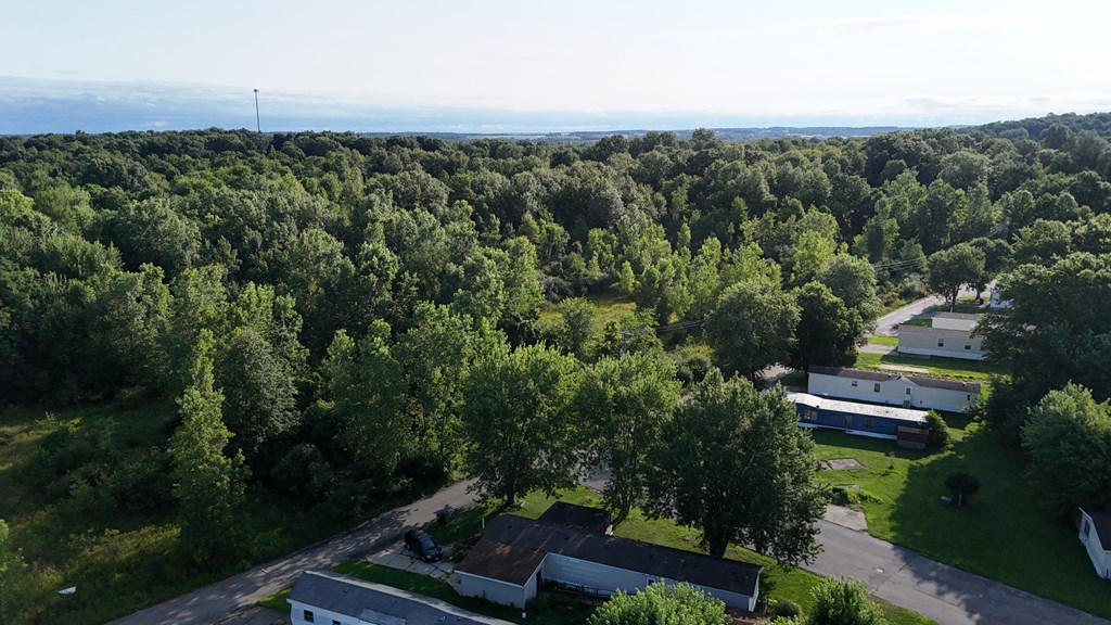 0 Lantz Road, Mansfield, Ohio 44906, ,Land,For Sale,Lantz Road,20100117