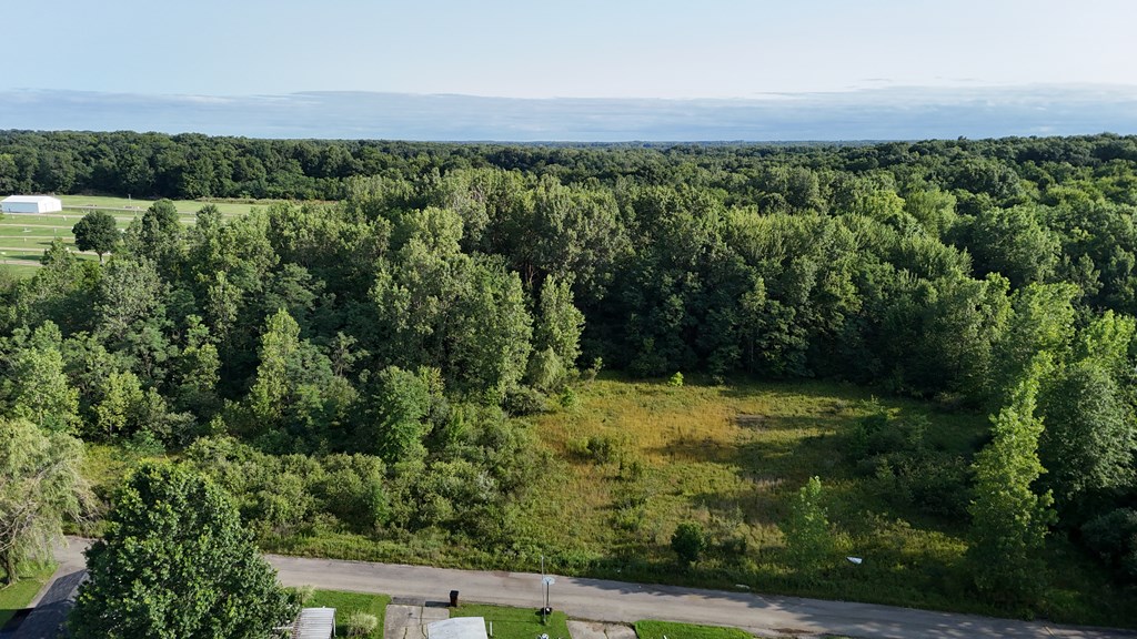 0 Lantz Road, Mansfield, Ohio 44906, ,Land,For Sale,Lantz Road,20100117