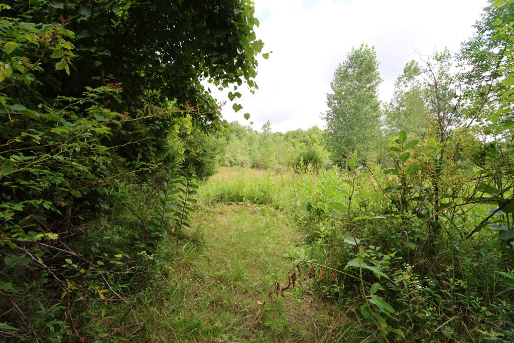 0 Lantz Road, Mansfield, Ohio 44906, ,Land,For Sale,Lantz Road,20100117