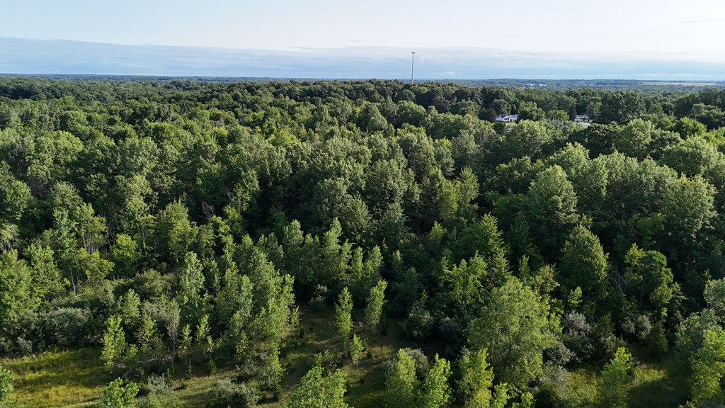 0 Lantz Road, Mansfield, Ohio 44906, ,Land,For Sale,Lantz Road,20100117