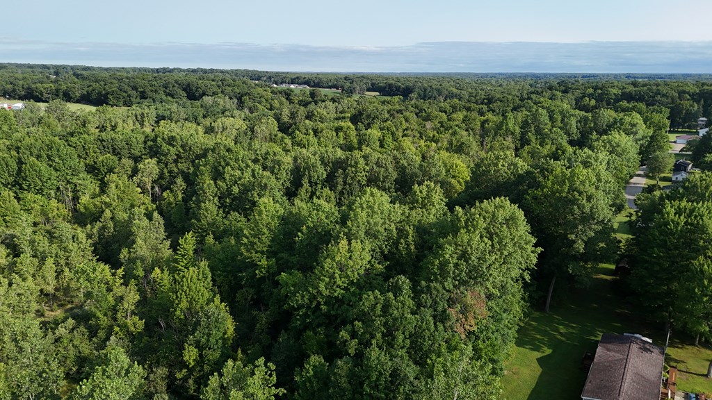 0 Lantz Road, Mansfield, Ohio 44906, ,Land,For Sale,Lantz Road,20100117