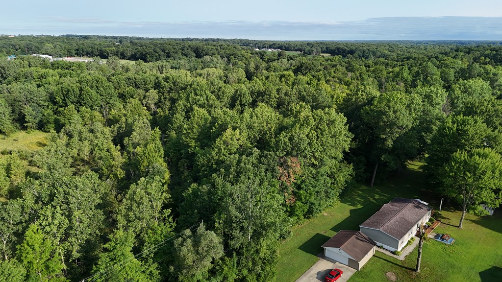 0 Lantz Road, Mansfield, Ohio 44906, ,Land,For Sale,Lantz Road,20100117