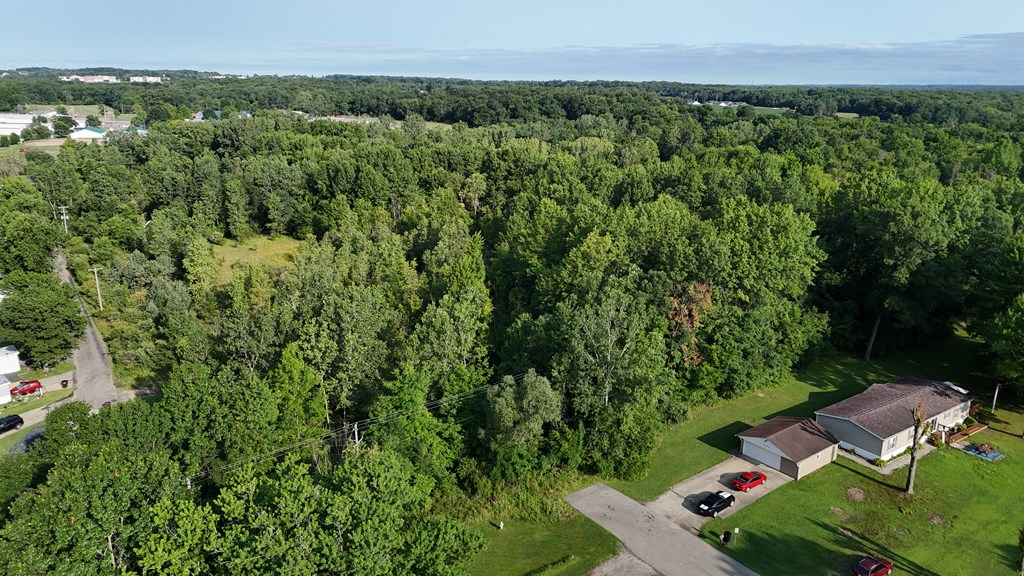 0 Lantz Road, Mansfield, Ohio 44906, ,Land,For Sale,Lantz Road,20100117
