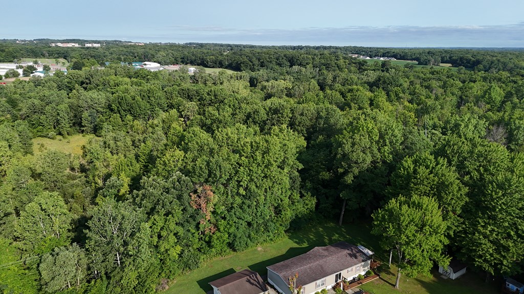 0 Lantz Road, Mansfield, Ohio 44906, ,Land,For Sale,Lantz Road,20100117