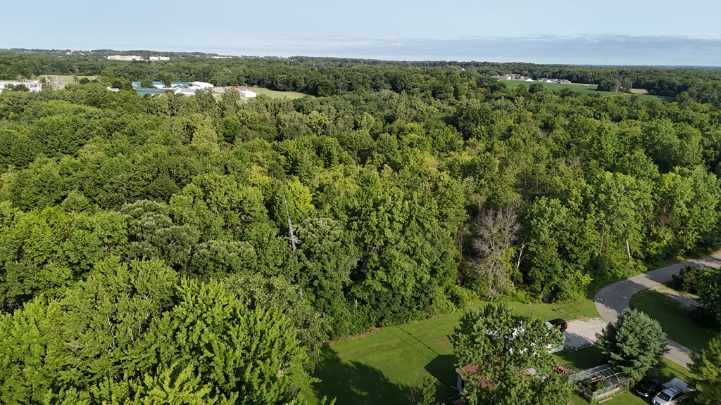 0 Lantz Road, Mansfield, Ohio 44906, ,Land,For Sale,Lantz Road,20100117