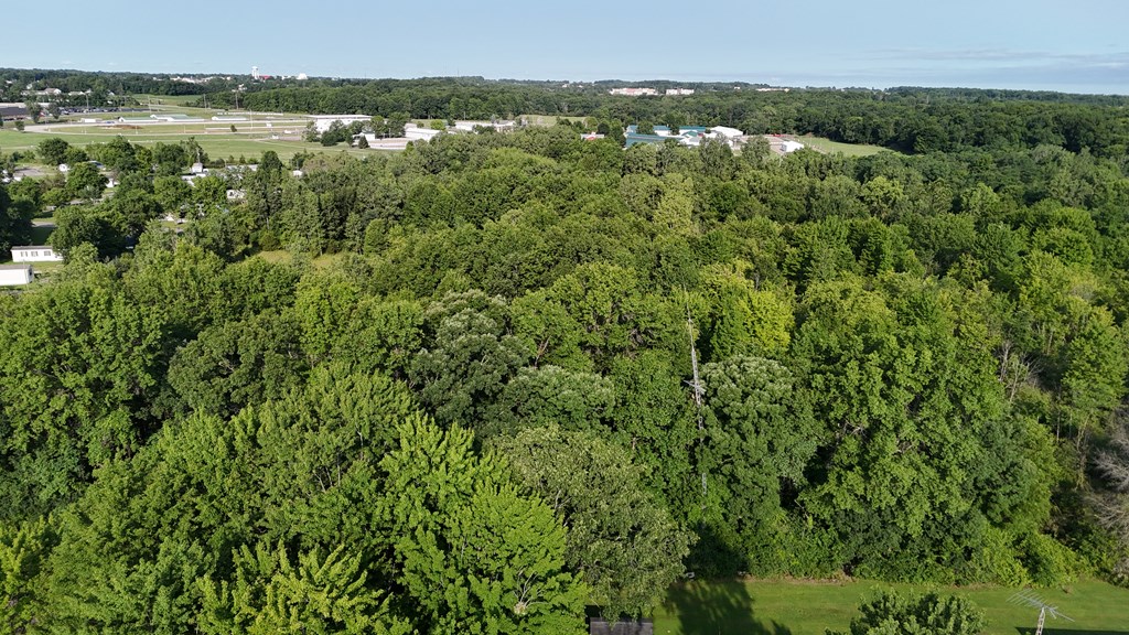 0 Lantz Road, Mansfield, Ohio 44906, ,Land,For Sale,Lantz Road,20100117