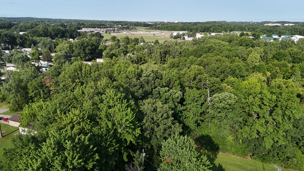 0 Lantz Road, Mansfield, Ohio 44906, ,Land,For Sale,Lantz Road,20100117