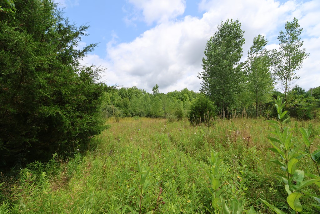 0 Lantz Road, Mansfield, Ohio 44906, ,Land,For Sale,Lantz Road,20100117
