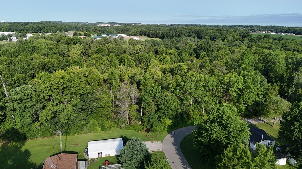 0 Lantz Road, Mansfield, Ohio 44906, ,Land,For Sale,Lantz Road,20100117