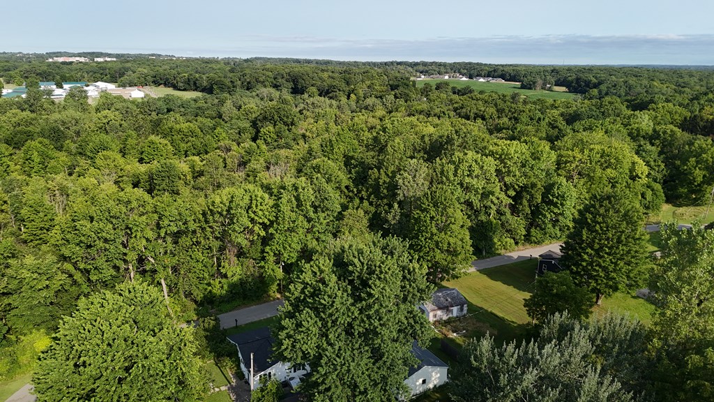 0 Lantz Road, Mansfield, Ohio 44906, ,Land,For Sale,Lantz Road,20100117