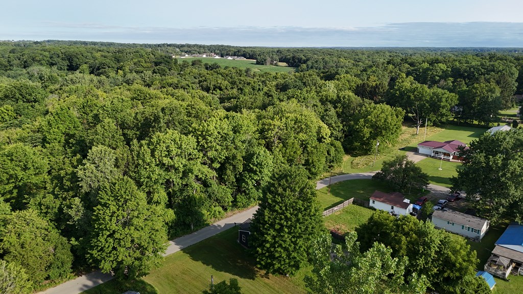 0 Lantz Road, Mansfield, Ohio 44906, ,Land,For Sale,Lantz Road,20100117