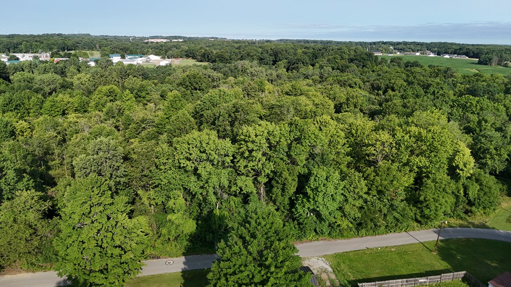 0 Lantz Road, Mansfield, Ohio 44906, ,Land,For Sale,Lantz Road,20100117