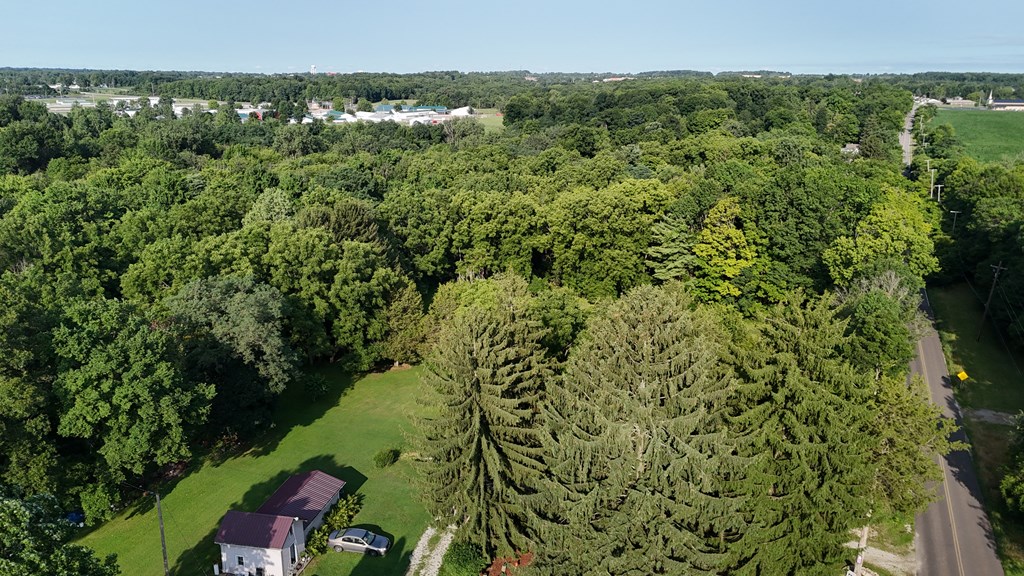 0 Lantz Road, Mansfield, Ohio 44906, ,Land,For Sale,Lantz Road,20100117