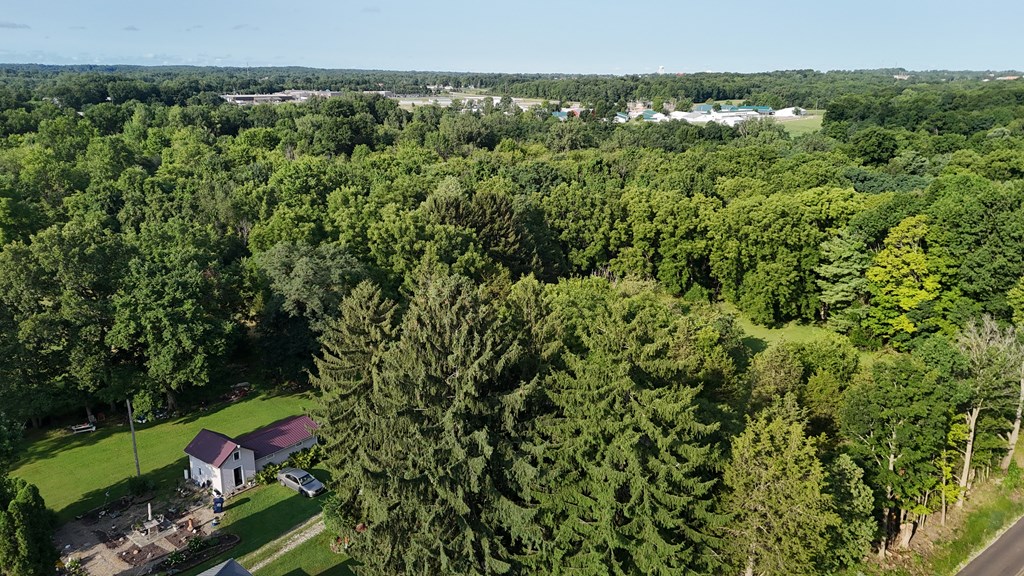 0 Lantz Road, Mansfield, Ohio 44906, ,Land,For Sale,Lantz Road,20100117