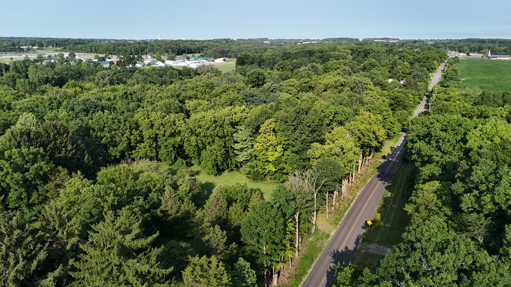 0 Lantz Road, Mansfield, Ohio 44906, ,Land,For Sale,Lantz Road,20100117