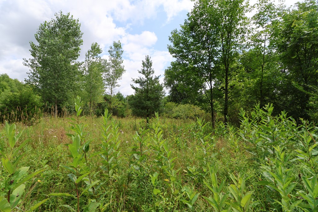 0 Lantz Road, Mansfield, Ohio 44906, ,Land,For Sale,Lantz Road,20100117
