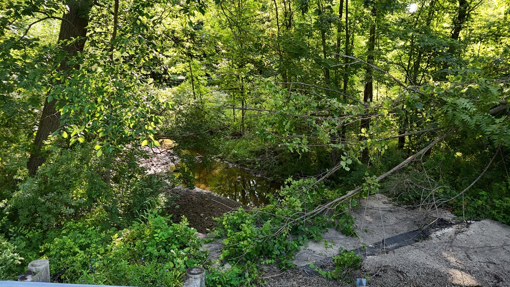 0 Lantz Road, Mansfield, Ohio 44906, ,Land,For Sale,Lantz Road,20100117