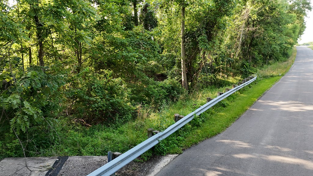 0 Lantz Road, Mansfield, Ohio 44906, ,Land,For Sale,Lantz Road,20100117