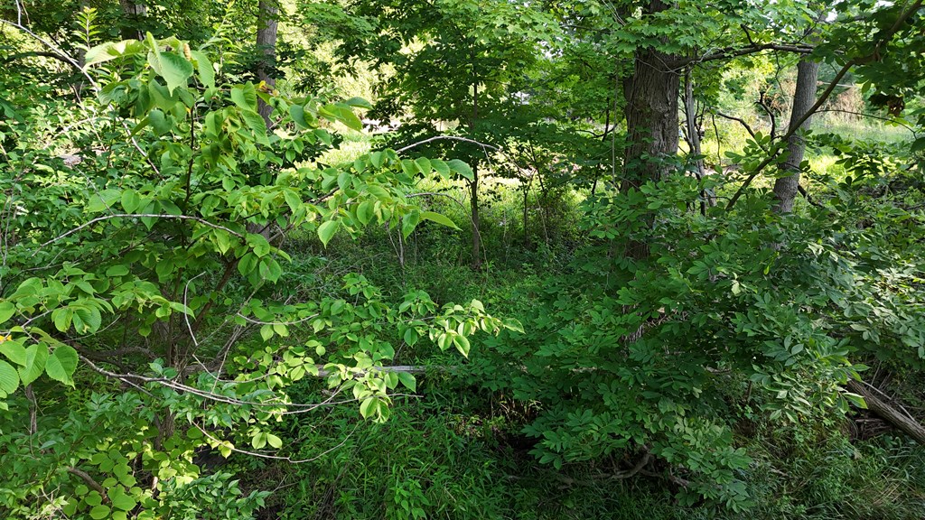 0 Lantz Road, Mansfield, Ohio 44906, ,Land,For Sale,Lantz Road,20100117