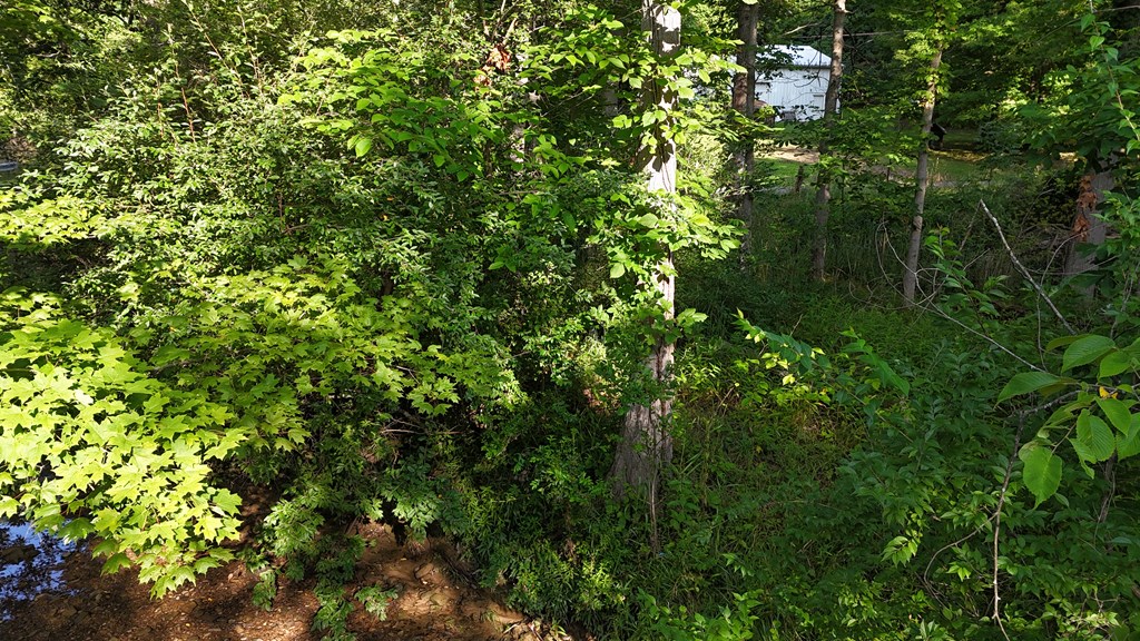 0 Lantz Road, Mansfield, Ohio 44906, ,Land,For Sale,Lantz Road,20100117