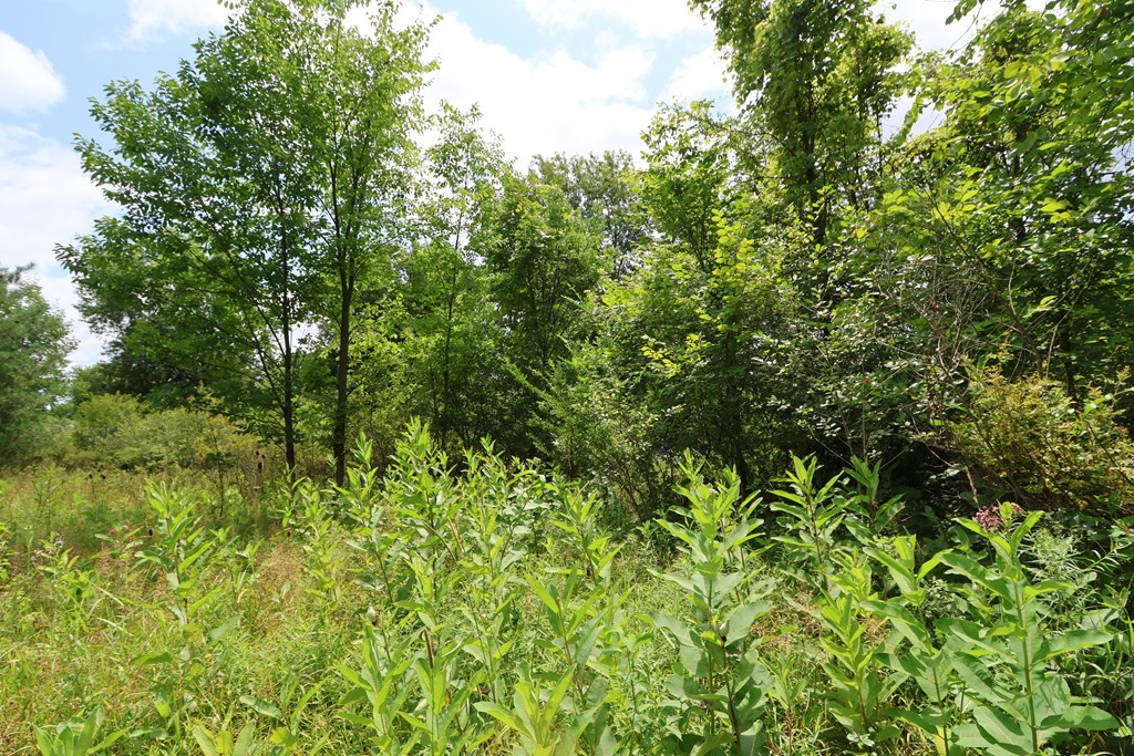 0 Lantz Road, Mansfield, Ohio 44906, ,Land,For Sale,Lantz Road,20100117