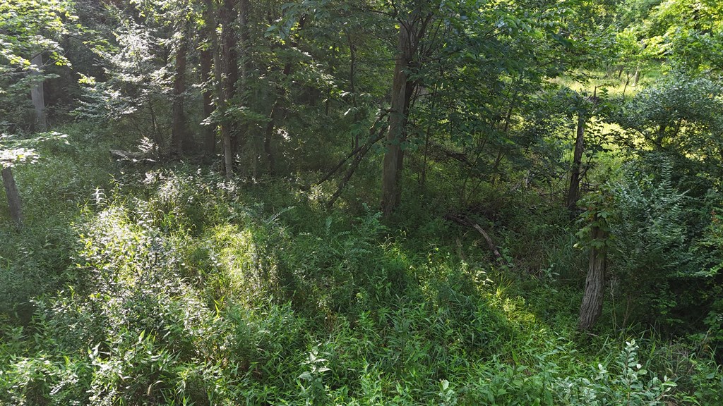 0 Lantz Road, Mansfield, Ohio 44906, ,Land,For Sale,Lantz Road,20100117