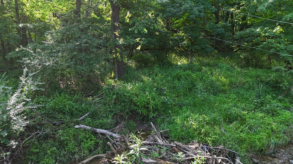 0 Lantz Road, Mansfield, Ohio 44906, ,Land,For Sale,Lantz Road,20100117