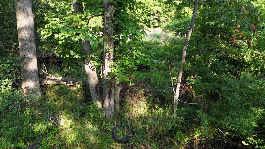 0 Lantz Road, Mansfield, Ohio 44906, ,Land,For Sale,Lantz Road,20100117