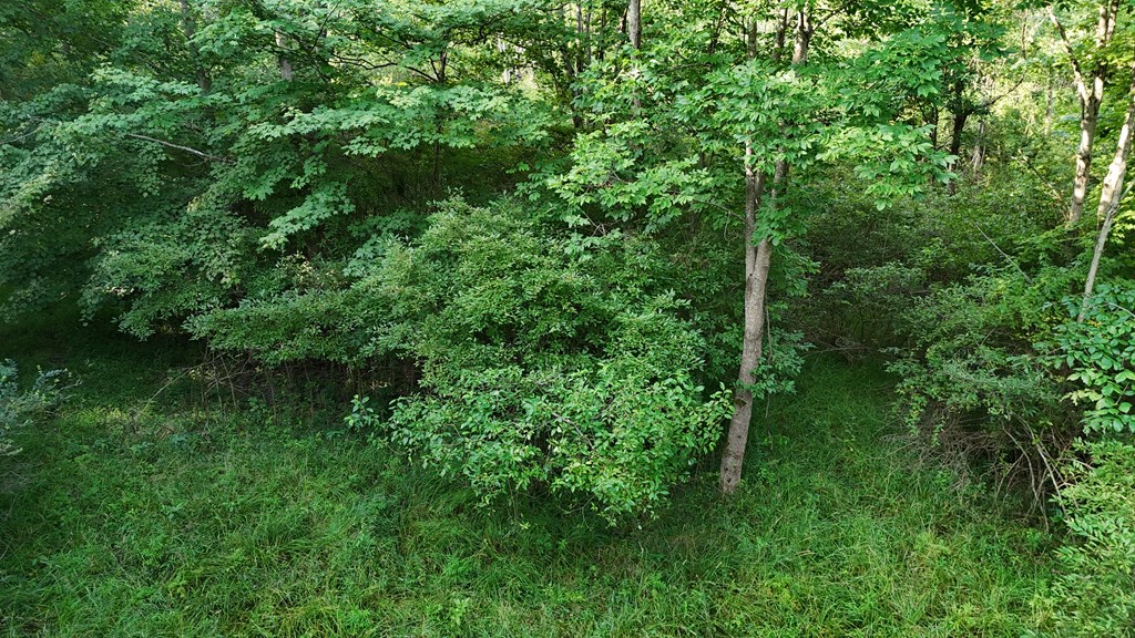 0 Lantz Road, Mansfield, Ohio 44906, ,Land,For Sale,Lantz Road,20100117