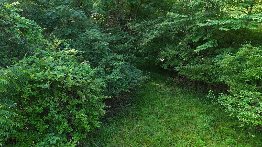 0 Lantz Road, Mansfield, Ohio 44906, ,Land,For Sale,Lantz Road,20100117