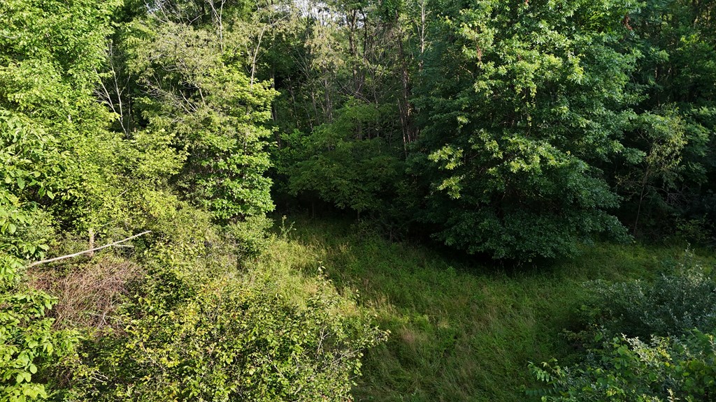 0 Lantz Road, Mansfield, Ohio 44906, ,Land,For Sale,Lantz Road,20100117
