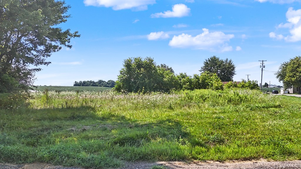4317 State Route 598, Crestline, Ohio 44827, ,Land,For Sale,State Route 598,20100241 4317 State Route 598, Crestline, Ohio 44827, ,Land,For Sale,State Route 598,20100241