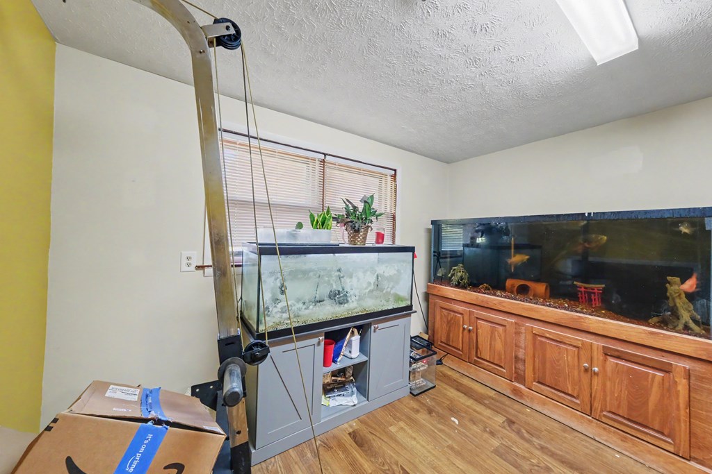 268 Terrence Drive, Bellefontaine, Ohio 43311, 3 Bedrooms Bedrooms, ,1 BathroomBathrooms,Residential,For Sale,Terrence Drive,20100258 268 Terrence Drive, Bellefontaine, Ohio 43311, 3 Bedrooms Bedrooms, ,1 BathroomBathrooms,Residential,For Sale,Terrence Drive,20100258
