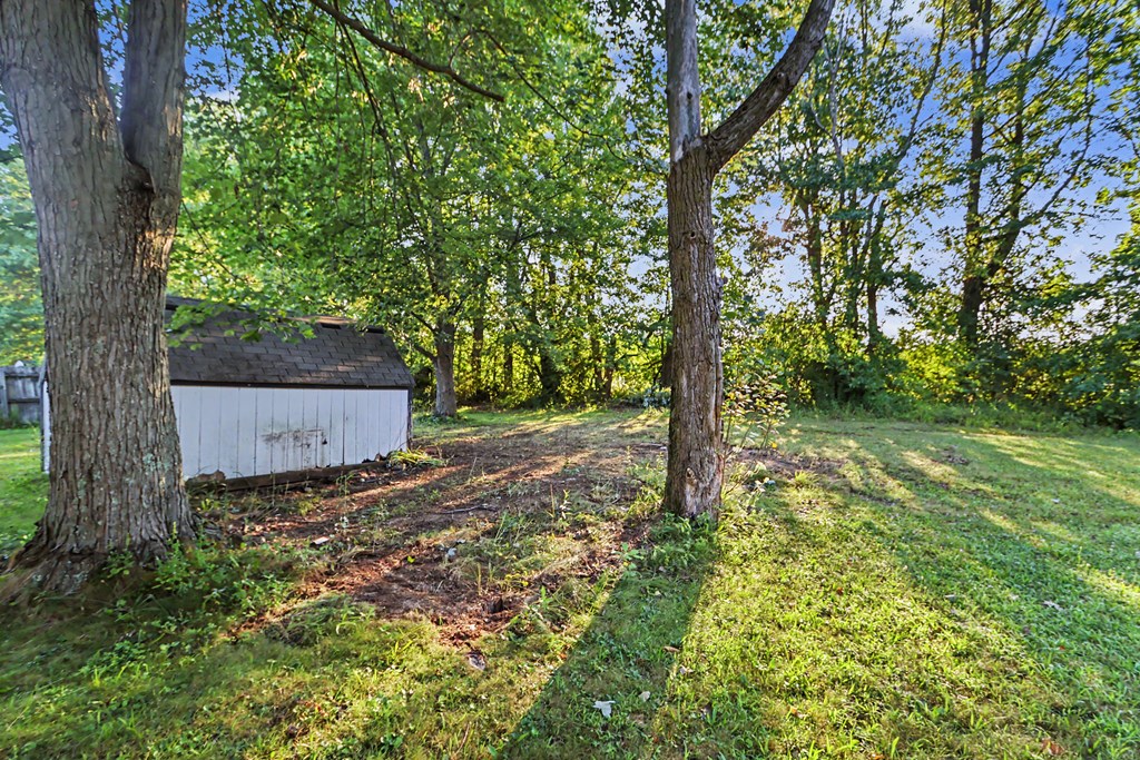 271 Eighth Avenue, Galion, Ohio 44833, 3 Bedrooms Bedrooms, ,1 BathroomBathrooms,Residential,For Sale,Eighth Avenue,20100260