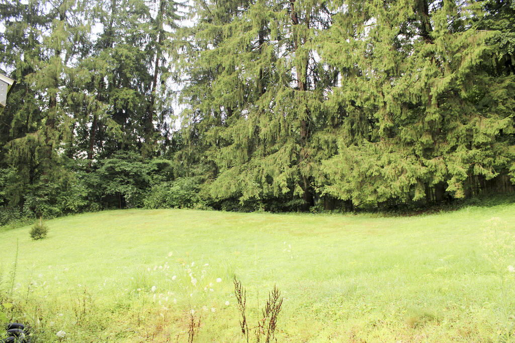 2762 County Road 1075, Perrysville, Ohio 44864, 3 Bedrooms Bedrooms, ,1 BathroomBathrooms,Residential,For Sale,County Road 1075,20100341
